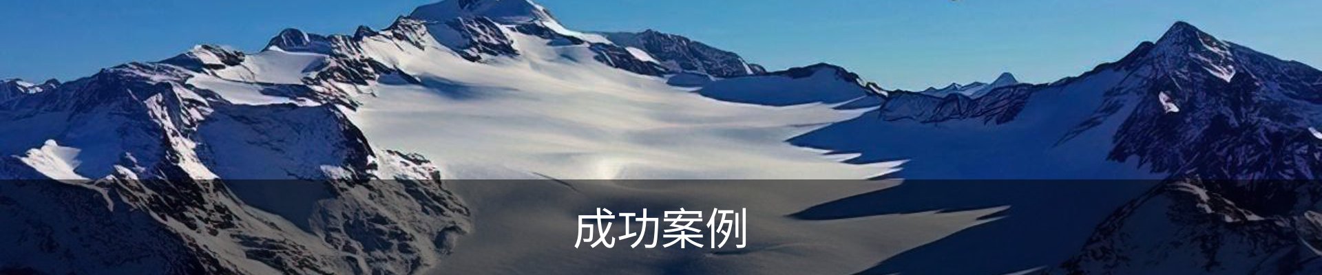 成功案例
